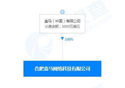 合肥盒馬網絡科技公司成立，注冊資本3000萬美元聚焦網絡信息技術